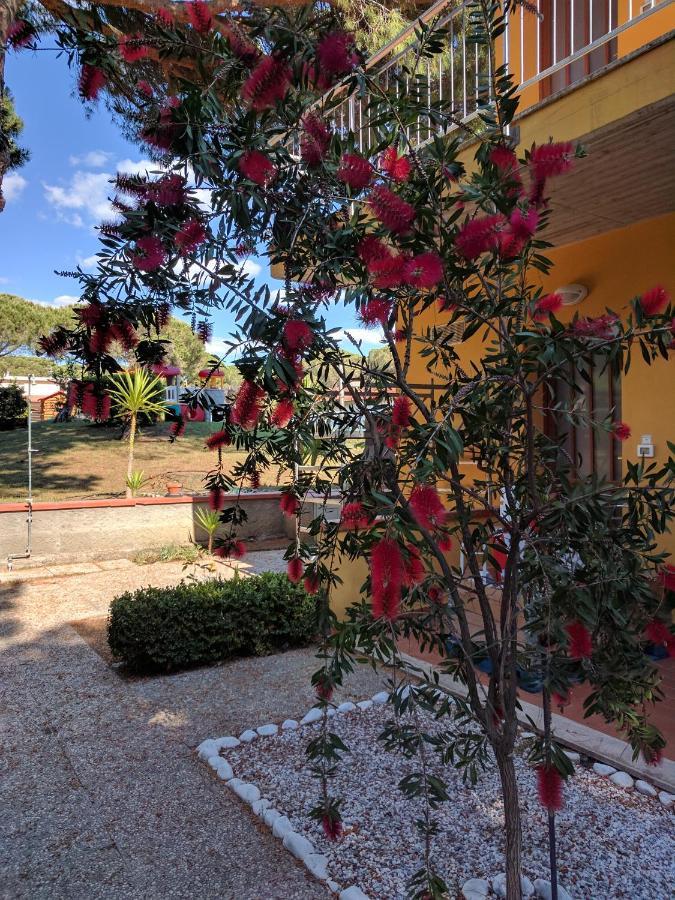 Residence Le Rose Marina Di Bibbona Exterior foto
